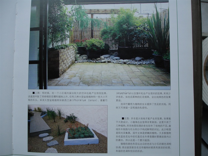 某庭院景观设计JPG文件(4)