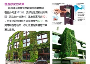 屋顶绿化+垂直绿化+仿真植物（园林景观植物种植）PDF资料