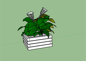 某园林盆栽植物设计SU(草图大师)模型素材15