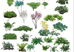 设计素材之景观植物素材（PSD格式）