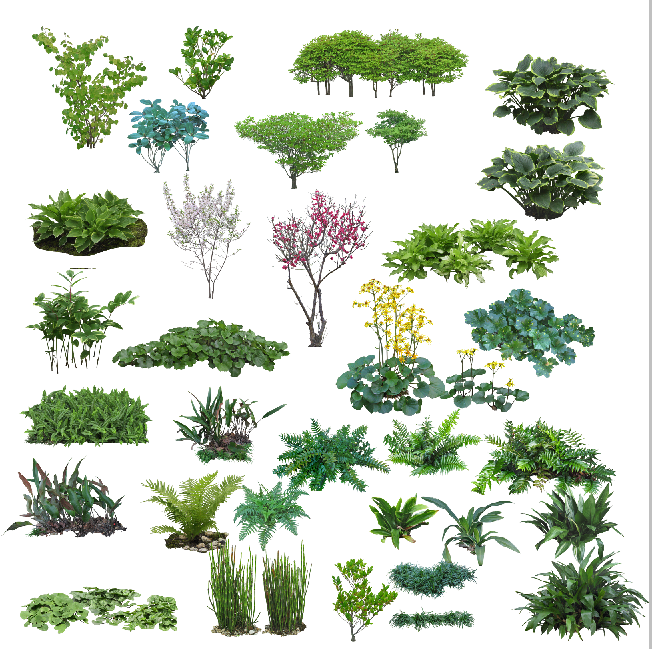 设计素材之景观植物素材（PSD格式）