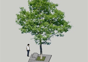 某园林景观树池设计SU(草图大师)模型素材9