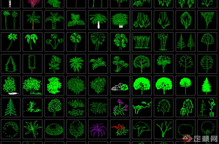 某CAD图例园林植物立面图参考(1)