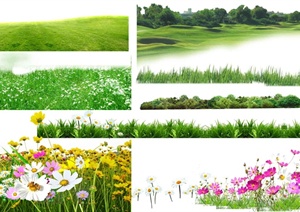 8款花卉、草坪景观植物psd素材