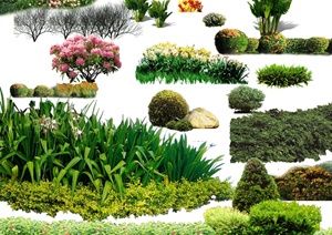 景观植物PSD立面素材