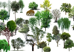 多款园林景观植物树木psd素材