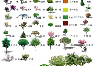 多棵乔木植物PSD素材