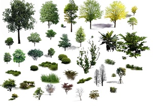 多棵景观植物设计PSD素材