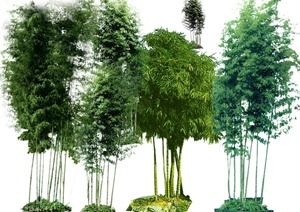 5款景观柱竹子植物素材psd格式