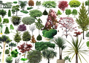 多种园林景观树木植物素材psd格式