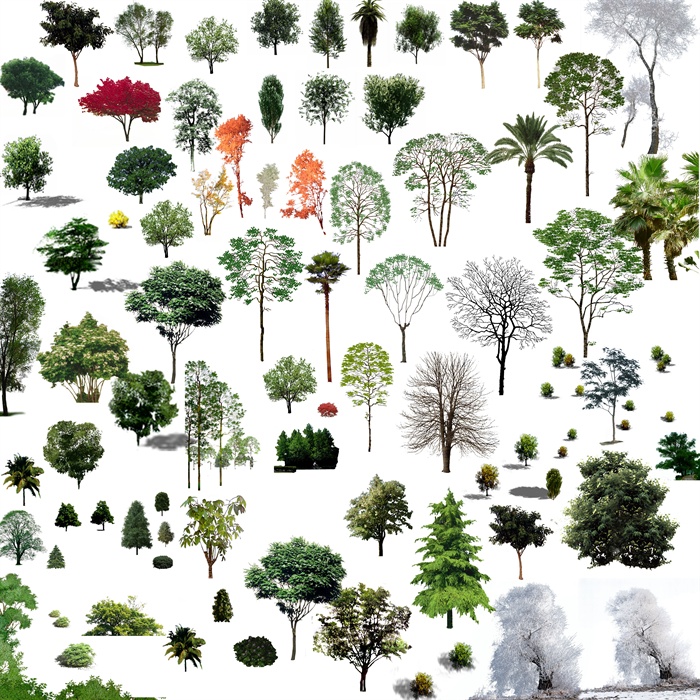 多种景观植物树木素材psd格式
