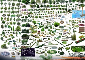 多款景观园林植物素材合集psd格式