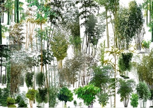 多款园林竹子素材效果图PSD格式