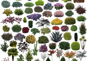 多款彩色灌木植物素材效果图PSD格式