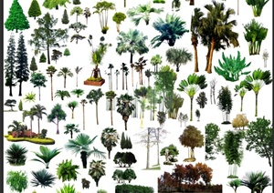 多种景观园林植物热带树psd素材