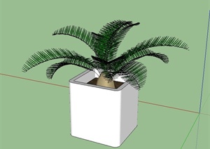 一棵苏铁植物设计SU(草图大师)模型