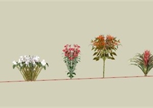 八种花卉植设计SU(草图大师)模型