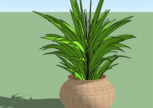 设计素材之景观植物盆景植物SU(草图大师)模型