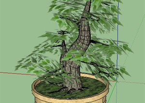 设计素材之盆景植物SU(草图大师)模型