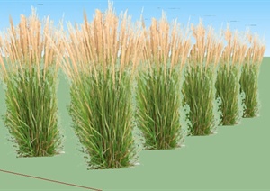设计素材之草本植物SU(草图大师)模型