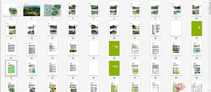 某地旅游村庄规划设计（ppt汇报稿、pdf方案)(5)
