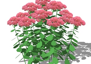 设计素材之景观植物花卉素材SU(草图大师)模型