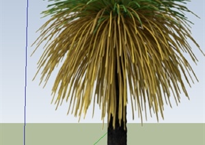 一棵澳洲草树SU(草图大师)模型