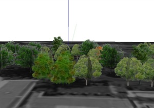 某园林景观植物素材设计SU(草图大师)模型1